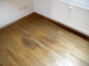 Water Damaged Wood Floor Repair Freehold, New Jersey