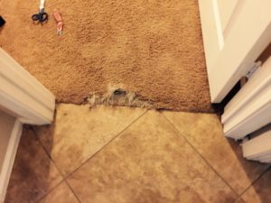 Carpet Repair Darien, Illinois