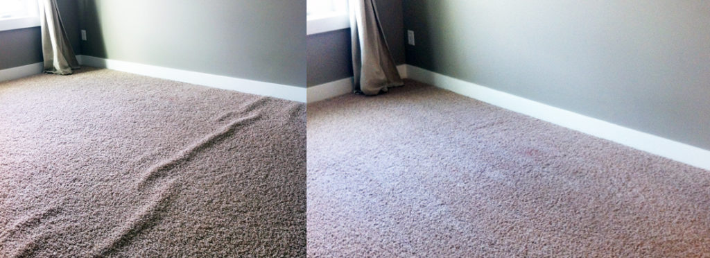 Carpet Re-Stretching Albert Lea, MN