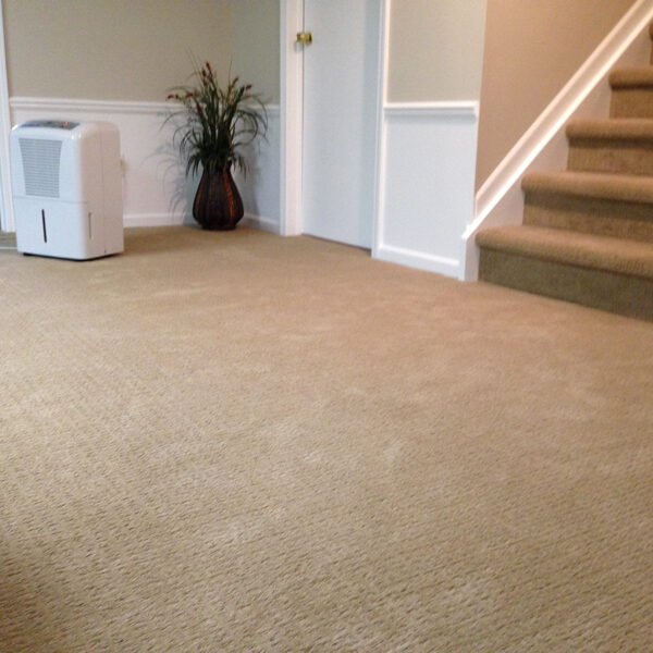 carpet-flooring